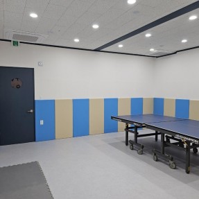 서울 은로초등학교 탁구장 벽쿠션